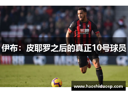 伊布：皮耶罗之后的真正10号球员